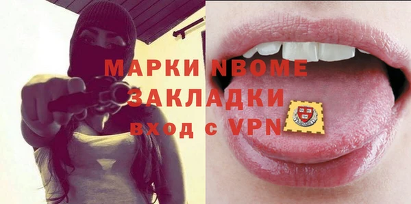хмурый Алексин