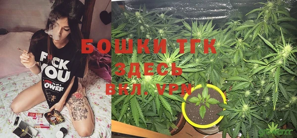 хмурый Алексин