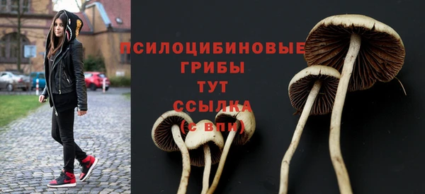 прущий лед Абдулино