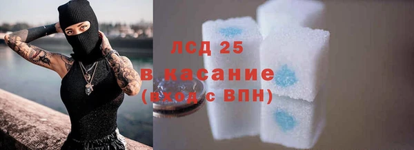 хмурый Алексин