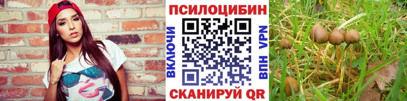 кракен ССЫЛКА  Беломорск  Галлюциногенные грибы Psilocybine cubensis  наркотики 