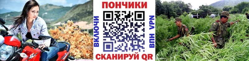 shop формула  купить наркоту  Беломорск  Каннабис LSD WEED 